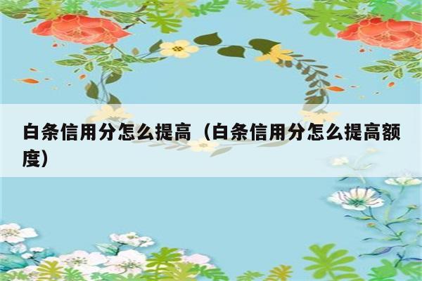 白条信用分怎么提高（白条信用分怎么提高额度） 