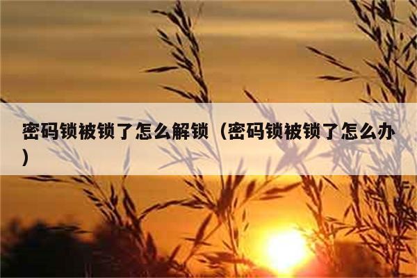 密码锁被锁了怎么解锁（密码锁被锁了怎么办） 