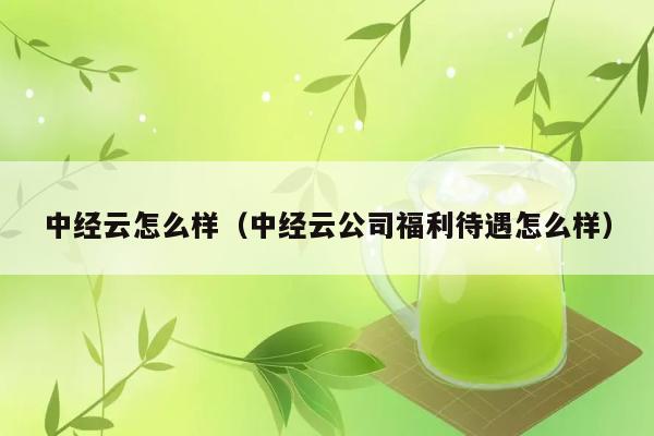 中经云怎么样（中经云公司福利待遇怎么样） 