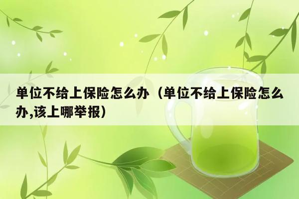 单位不给上保险怎么办（单位不给上保险怎么办,该上哪举报） 