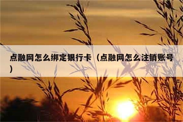 点融网怎么绑定银行卡（点融网怎么注销账号） 