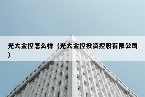 光大金控怎么样（光大金控投资控股有限公司） 