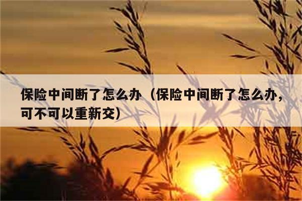 保险中间断了怎么办（保险中间断了怎么办,可不可以重新交） 