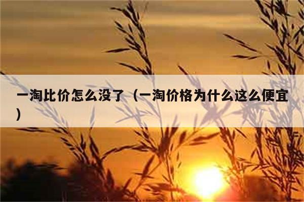 一淘比价怎么没了（一淘价格为什么这么便宜） 