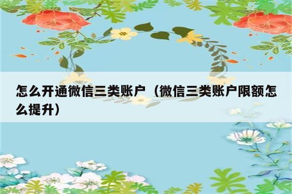 怎么开通微信三类账户（微信三类账户限额怎么提升） 