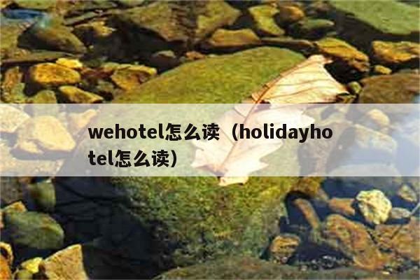 wehotel怎么读（holidayhotel怎么读） 