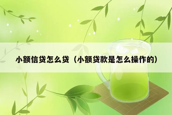 小额信贷怎么贷（小额贷款是怎么操作的） 