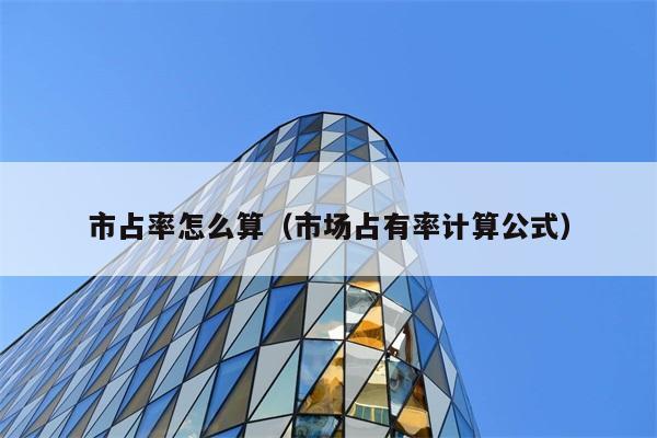 市占率怎么算（市场占有率计算公式） 