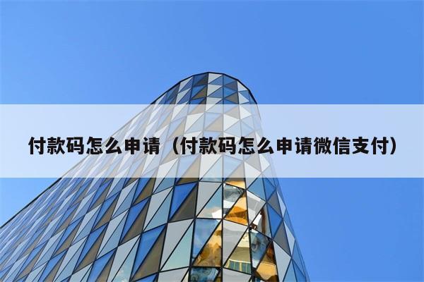 付款码怎么申请（付款码怎么申请微信支付） 