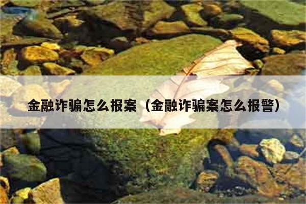 金融诈骗怎么报案（金融诈骗案怎么报警） 