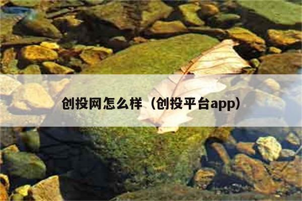 创投网怎么样（创投平台app） 