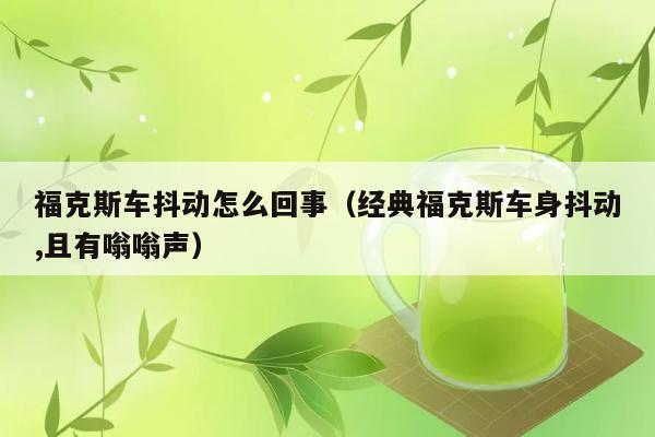 福克斯车抖动怎么回事（经典福克斯车身抖动,且有嗡嗡声） 