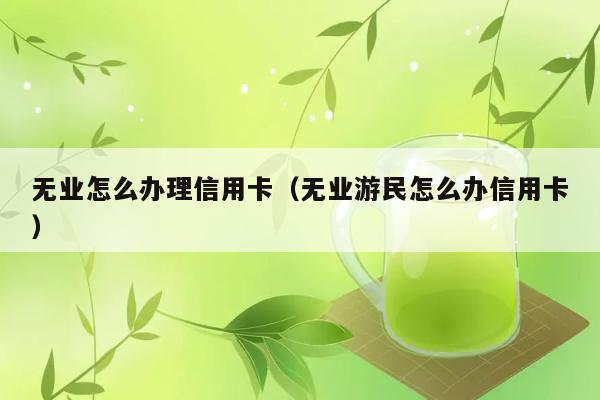 无业怎么办理信用卡（无业游民怎么办信用卡） 