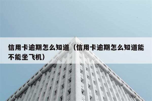 信用卡逾期怎么知道（信用卡逾期怎么知道能不能坐飞机） 