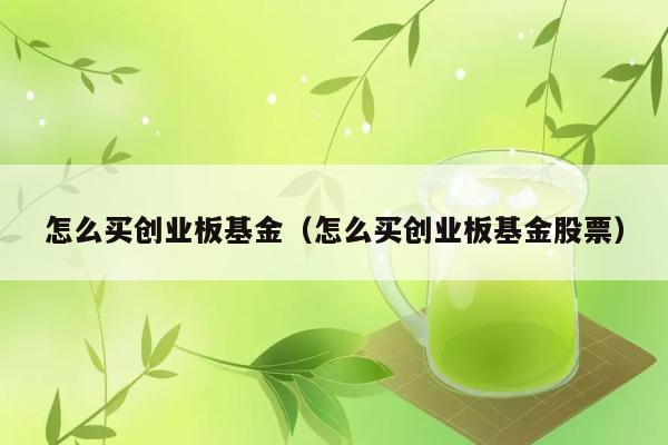 怎么买创业板基金（怎么买创业板基金股票） 