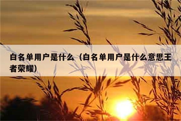 白名单用户是什么（白名单用户是什么意思王者荣耀） 