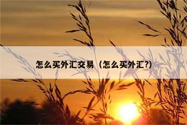 怎么买外汇交易（怎么买外汇?） 