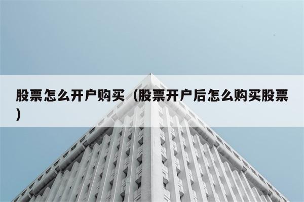 股票怎么开户购买（股票开户后怎么购买股票） 