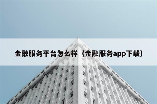 金融服务平台怎么样（金融服务app下载） 