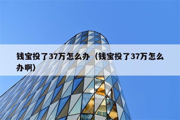 钱宝投了37万怎么办（钱宝投了37万怎么办啊） 