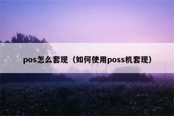 pos怎么套现（如何使用poss机套现） 