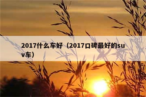 2017什么车好（2017口碑最好的suv车） 