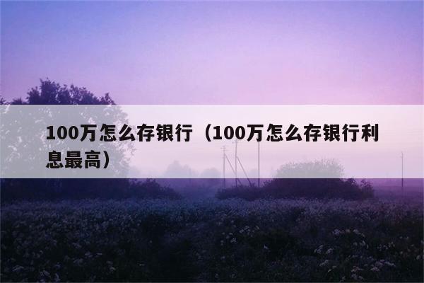 100万怎么存银行（100万怎么存银行利息最高） 