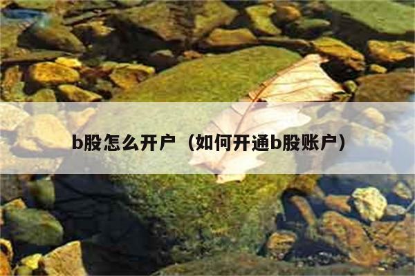 b股怎么开户（如何开通b股账户） 