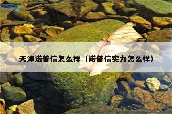 天津诺普信怎么样（诺普信实力怎么样） 