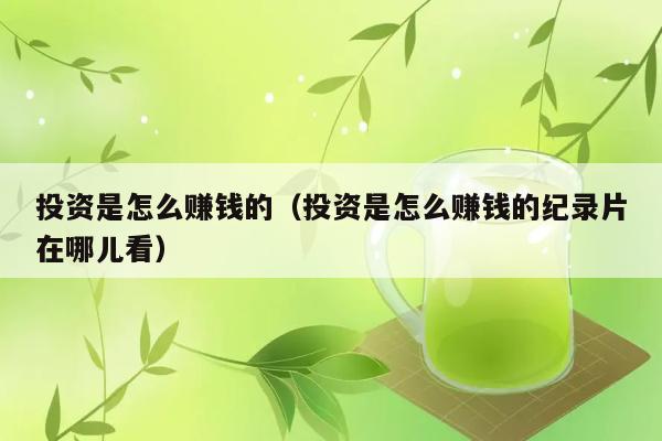 投资是怎么赚钱的（投资是怎么赚钱的纪录片在哪儿看） 