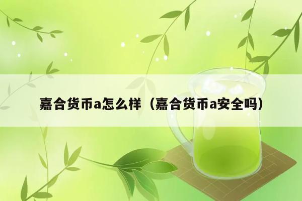 嘉合货币a怎么样（嘉合货币a安全吗） 