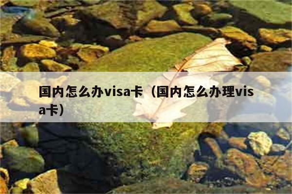 国内怎么办visa卡（国内怎么办理visa卡） 