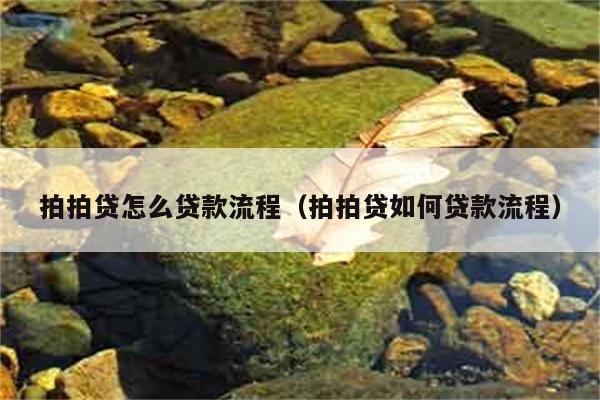 拍拍贷怎么贷款流程（拍拍贷如何贷款流程） 