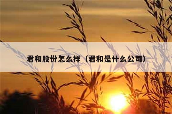 君和股份怎么样（君和是什么公司） 