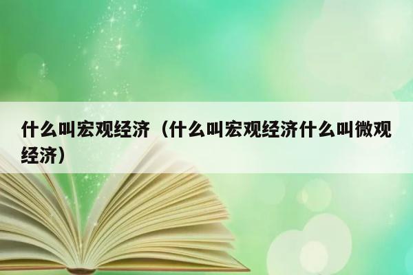 什么叫宏观经济（什么叫宏观经济什么叫微观经济） 