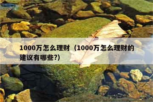 1000万怎么理财（1000万怎么理财的建议有哪些?） 