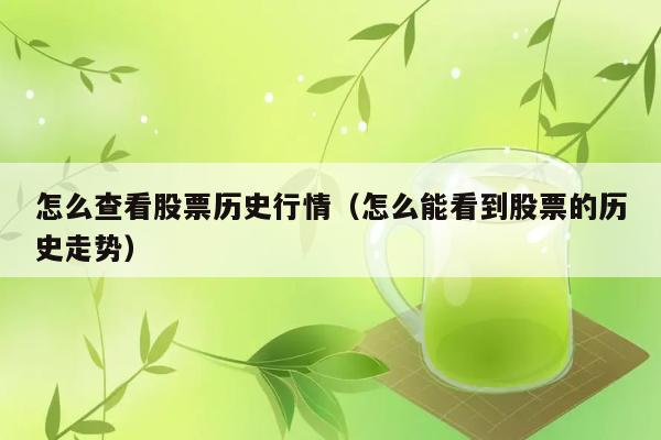 怎么查看股票历史行情（怎么能看到股票的历史走势） 