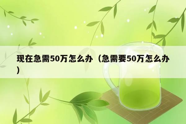 现在急需50万怎么办（急需要50万怎么办） 