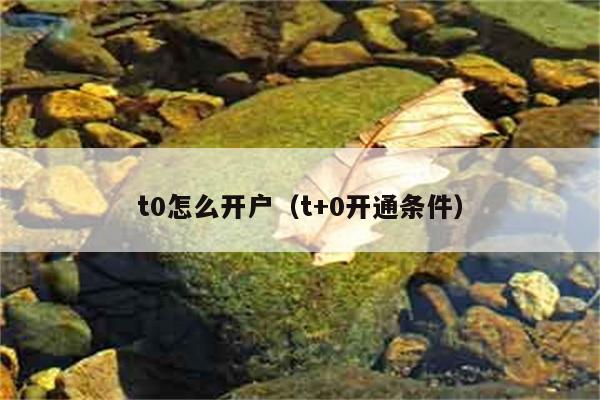 t0怎么开户（t+0开通条件） 