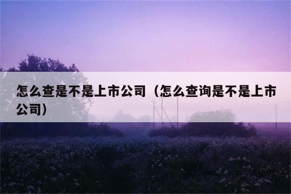 怎么查是不是上市公司（怎么查询是不是上市公司） 