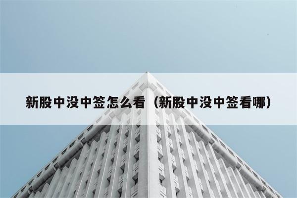 新股中没中签怎么看（新股中没中签看哪） 