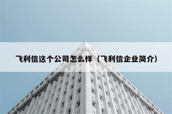 飞利信这个公司怎么样（飞利信企业简介） 