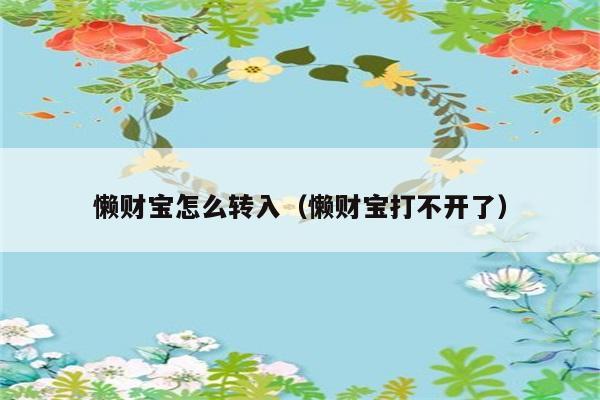 懒财宝怎么转入（懒财宝打不开了） 