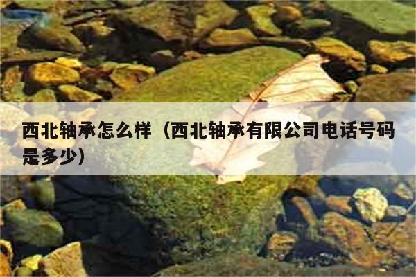 西北轴承怎么样（西北轴承有限公司电话号码是多少） 