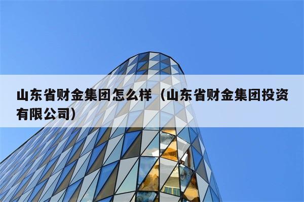 山东省财金集团怎么样（山东省财金集团投资有限公司） 