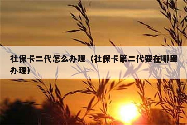 社保卡二代怎么办理（社保卡第二代要在哪里办理） 