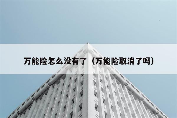 万能险怎么没有了（万能险取消了吗） 