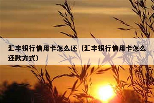 汇丰银行信用卡怎么还（汇丰银行信用卡怎么还款方式） 