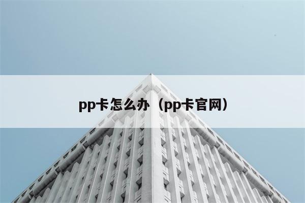 pp卡怎么办（pp卡官网） 