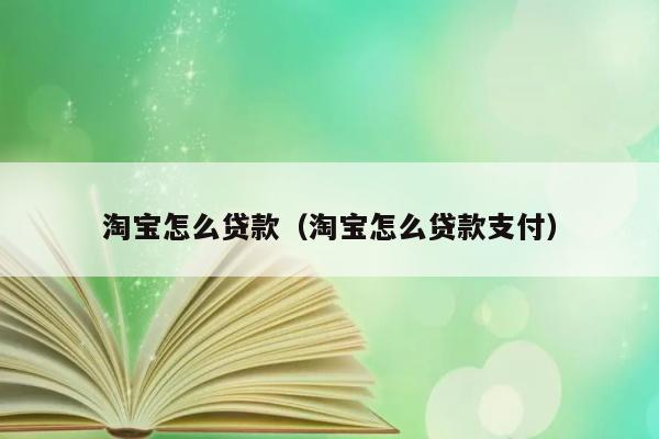 淘宝怎么贷款（淘宝怎么贷款支付） 